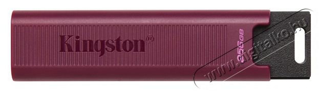 Kingston 256GB USB3.2 Type-A DataTraveler Max (DTMAXA/256GB) Flash Drive Memória kártya / Pendrive - Pendrive - 456358