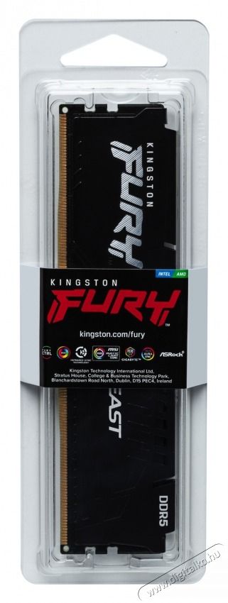 Kingston KF560C36BBE-32 RAM DDR5 Iroda &eacute;s sz&aacute;m&iacute;t&aacute;stechnika - Sz&aacute;m&iacute;t&oacute;g&eacute;p tartoz&eacute;k - Mem&oacute;ria - 498503