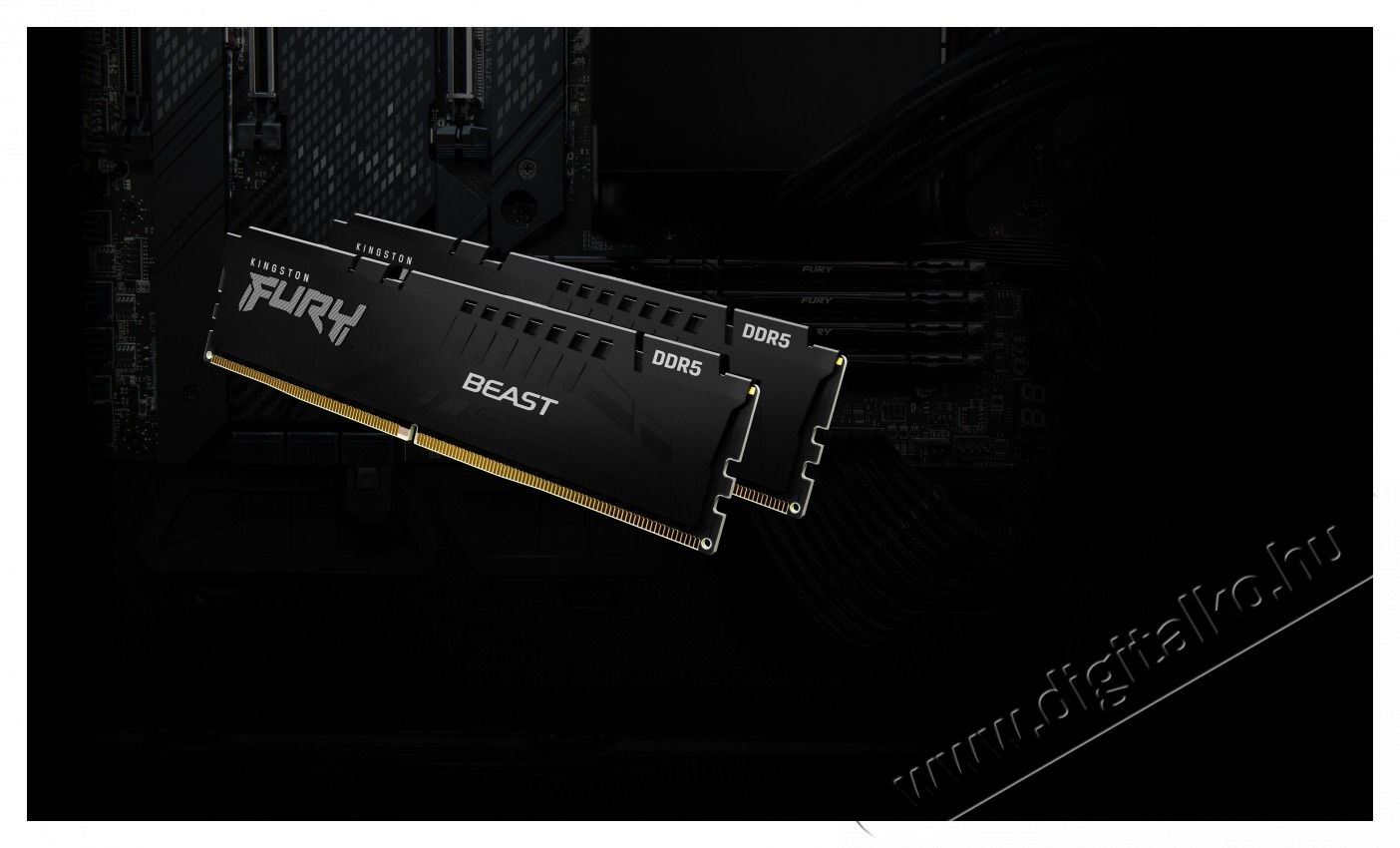 Kingston KF560C36BBE-32 RAM DDR5 Iroda &eacute;s sz&aacute;m&iacute;t&aacute;stechnika - Sz&aacute;m&iacute;t&oacute;g&eacute;p tartoz&eacute;k - Mem&oacute;ria - 498503
