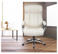 Kring Lincoln Ergonomikus irodai sz&eacute;k, B&eacute;zs Iroda &eacute;s sz&aacute;m&iacute;t&aacute;stechnika - Egy&eacute;b sz&aacute;m&iacute;t&aacute;stechnikai term&eacute;k - 537005