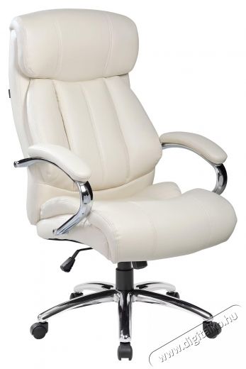 Kring Lincoln Ergonomikus irodai sz&eacute;k, B&eacute;zs Iroda &eacute;s sz&aacute;m&iacute;t&aacute;stechnika - Egy&eacute;b sz&aacute;m&iacute;t&aacute;stechnikai term&eacute;k - 537005