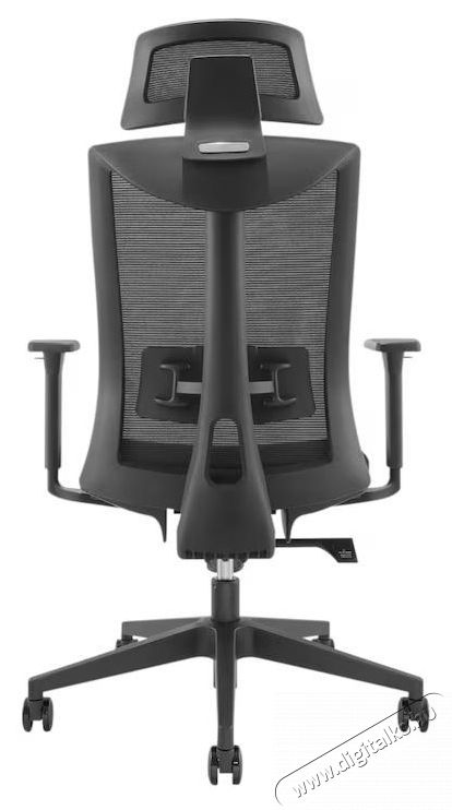 Kring Aaron Ergonomikus irodai sz&eacute;k, fekete Iroda &eacute;s sz&aacute;m&iacute;t&aacute;stechnika - Egy&eacute;b sz&aacute;m&iacute;t&aacute;stechnikai term&eacute;k - 536995