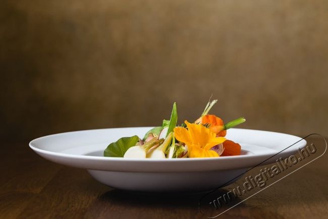 Lastolite Vintage &ouml;sszecsukhat&oacute; h&aacute;tt&eacute;r 1,5 x 2,1 m Tobacco/Olive Fot&oacute;-Vide&oacute; kieg&eacute;sz&iacute;tők - H&aacute;tt&eacute;r - V&aacute;szon h&aacute;tt&eacute;r - 346399