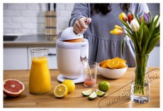 Lauben 110WT Electric Citrus Juicer (LBNECJ110WT) Konyhai termékek - Konyhai kisgép (előkészítés / feldolgozás) - Citrus / gyümölcs facsaró - 497644
