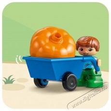 LEGO Harry Potter - Csik&oacute;csőr (76427) H&aacute;ztart&aacute;s / Otthon / K&uuml;lt&eacute;r - J&aacute;t&eacute;k / Sport - Kreat&iacute;v / k&eacute;szs&eacute;gfejlesztő j&aacute;t&eacute;k - 531285