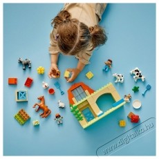 LEGO DUPLO  10416 &Aacute;llatok gondoz&aacute;sa a farmon H&aacute;ztart&aacute;s / Otthon / K&uuml;lt&eacute;r - J&aacute;t&eacute;k / Sport - Kreat&iacute;v / k&eacute;szs&eacute;gfejlesztő j&aacute;t&eacute;k - 531904