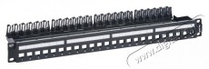 Legrand 632850 Linkeo C 19"/1U üres patch panel 24 db Keystone jack fogadására, fém kábeltartóval Iroda és számítástechnika - Hálózat - Hálózati kiegészítő - 392638