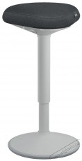 Leitz ERGO Active Standing Stook - világosszürke irodaszék Iroda és számítástechnika - Egyéb számítástechnikai termék - 522352