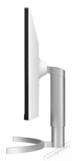 LG 34WN650-W.AEU Monitor Iroda &eacute;s sz&aacute;m&iacute;t&aacute;stechnika - Monitor - Monitor - 381482