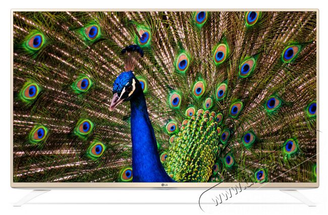LG 43UF6907 Ultra HD televízió Televíziók - LED televízió - UHD 4K felbontású - 287911