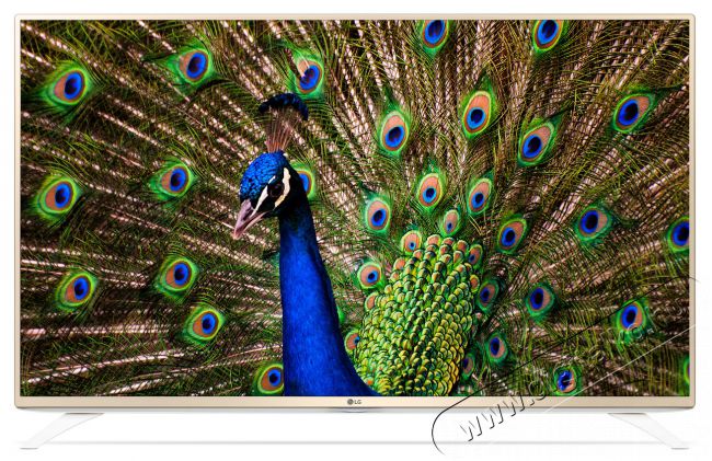 LG 49UF6907 Ultra HD televízió Televíziók - LED televízió - UHD 4K felbontású - 287947