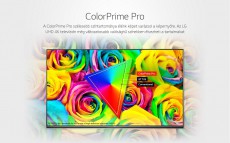 LG 49UH661V Ultra HD televízió Televíziók - LED televízió - UHD 4K felbontású - 303333