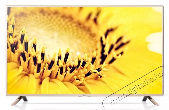 LG 55LF561V LED televízió Televíziók - LED televízió - 1080p Full HD felbontású - 289041