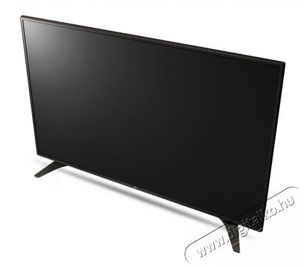LG 55LV640S Full HD LED TV üzleti funkciókkal Televíziók - LED televízió - 1080p Full HD felbontású - 351197