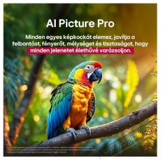 LG 75QNED80A3B Telev&iacute;zi&oacute;k - LED telev&iacute;zi&oacute; - UHD 4K felbont&aacute;s&uacute; - 512072