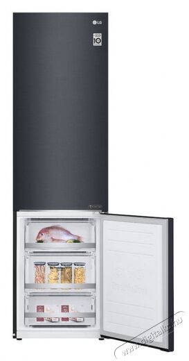 LG GBB72MCEFN No Frost alulfagyasztós hűtőszekrény Konyhai termékek - Hűtő, fagyasztó (szabadonálló) - Alulfagyasztós kombinált hűtő - 351232