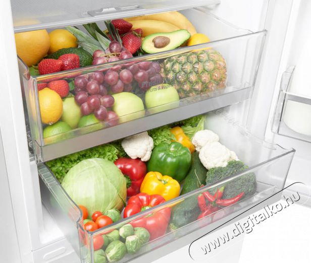 LG GBB60SWGFS No Frost alulfagyasztós hűtőszekrény Konyhai termékek - Hűtő, fagyasztó (szabadonálló) - Alulfagyasztós kombinált hűtő - 344662
