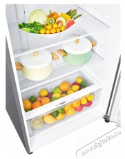 LG GTB744DSCV felülfagyasztós hűtőszekrény Konyhai termékek - Hűtő, fagyasztó (szabadonálló) - Felülfagyasztós kombinált hűtő - 378848