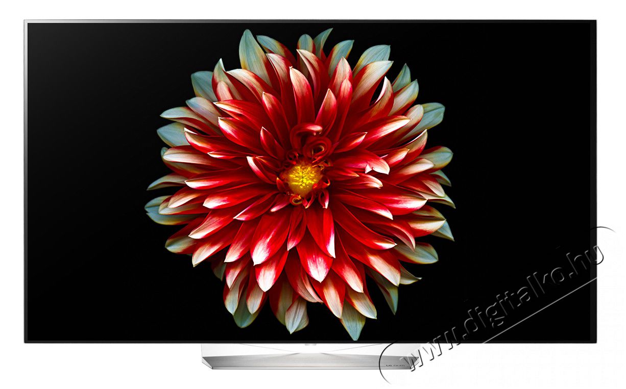 LG OLED55EG9A7V Full HD Smart OLED televízió Televíziók - OLED televízió - 1080p Full HD felbontású - 330973
