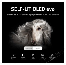 LG OLED77G23LA 4K, OLED, Smart televízió Televíziók - OLED televízió - UHD 4K felbontású - 398970