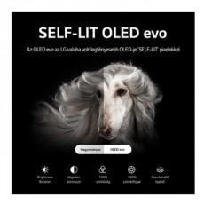 LG OLED83G23LA oled smart tv Televíziók - OLED televízió - UHD 4K felbontású - 399294