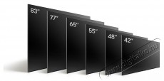 LG OLED42C41LA OLED evo, 4K, Ultra HD, HDR, Smart TV Televíziók - OLED televízió - UHD 4K felbontású - 500727