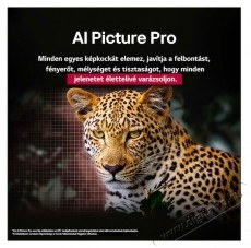 LG OLED65B53LA UHD SMART OLED TV Telev&iacute;zi&oacute;k - OLED telev&iacute;zi&oacute; - UHD 4K felbont&aacute;s&uacute; - 516812