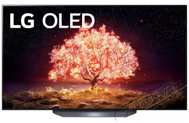 LG OLED55B13LA Ultra HD OLED Smart televízió Televíziók - OLED televízió - UHD 4K felbontású - 371251