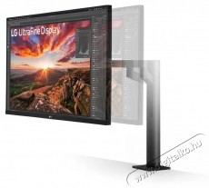 LG UltraFine 31.5  32UN880K-B Monitor, LED IPS, UHD (3840x2160), 60Hz, 5ms, USB Type-C, HDMI, Display Port, Ergo Stand, Pivot, fekete Iroda &eacute;s sz&aacute;m&iacute;t&aacute;stechnika - Monitor - Monitor - 533568