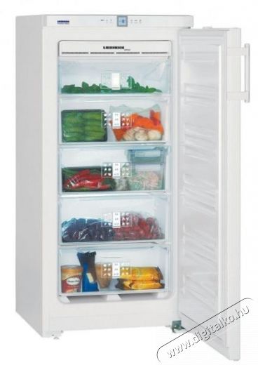 Liebherr GNP 1956 fagyasztószekrény Konyhai termékek - Hűtő, fagyasztó (szabadonálló) - Fagyasztószekrény - 314141