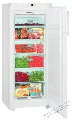 Liebherr GNw 1360 fagyasztószekrény Konyhai termékek - Hűtő, fagyasztó (szabadonálló) - Fagyasztószekrény