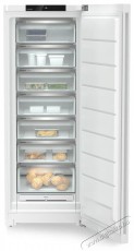 Liebherr FNd 7227 Konyhai termékek - Hűtő, fagyasztó (szabadonálló) - Fagyasztószekrény - 400335