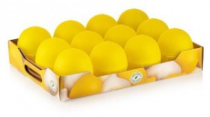 Luxplastic IRIS L-00395 citrom tárolódoboz Háztartás / Otthon / Kültér - Lakásfelszerelés - Tároló - 514698