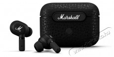 Marshall Minor IV Vezeték nélküli fül-/fejhallgató Audio-Video / Hifi / Multimédia - Fül és Fejhallgatók - Fejhallgató mikrofonnal / headset - 500660