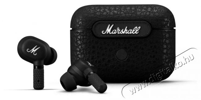 Marshall Minor IV Vezeték nélküli fül-/fejhallgató Audio-Video / Hifi / Multimédia - Fül és Fejhallgatók - Fejhallgató mikrofonnal / headset - 500660