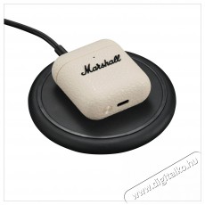 Marshall Minor IV Cream Audio-Video / Hifi / Multimédia - Fül és Fejhallgatók - Fülhallgató mikrofonnal / headset - 518910