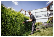 Metabo Aku HS 18 LTX 65 akkumulátor nélkül sövény vágó Háztartás / Otthon / Kültér - Kültér / kerti termék / grill - Sövény / kézi fű és lomb vágó - 521648