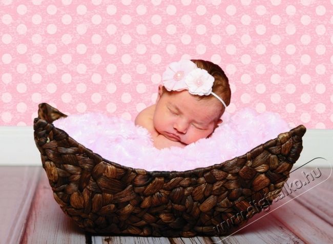 Mikrosat P2502 Ella Bella Dost Soft Pink (1,2x3,6 m) háttér Fotó-Videó kiegészítők - Háttér - Ella Bella háttér - 290997