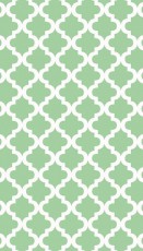 Mikrosat P2519 Ella Bella Mediterranean Mint (1,2x3,6m) háttér Fotó-Videó kiegészítők - Háttér - Ella Bella háttér - 296430