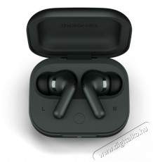 Motorola Moto Buds+ (Sound by BOSE) Forest Grey Audio-Video / Hifi / Multimédia - Fül és Fejhallgatók - Fülhallgató - 510119