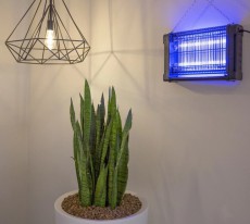Nedis INKI110CBK16 Elektromos rovarcsapda Háztartás / Otthon / Kültér - Lakásfelszerelés - Szúnyogriasztó / rovarirtó - 366375