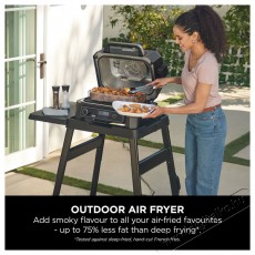 Ninja OG850EU Woodfire Pro XL Konyhai termékek - Sütő-főzőlap, tűzhely (szabadonálló) - Mini sütő / mini grill / mini konyha - 521851