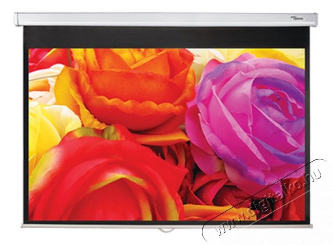 Optoma DS-1109PMG+ vet&iacute;tőv&aacute;szon Tv kieg&eacute;sz&iacute;tők - Vet&iacute;tőv&aacute;szon - 293464