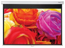 Optoma DS-1123PMG+ vetítővászon Tv kiegészítők - Vetítővászon - 293453