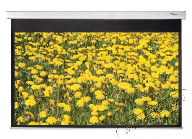 Optoma DS-9106PMG+ vetítővászon Tv kiegészítők - Vetítővászon - 293449