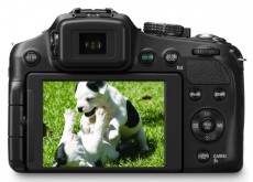 PANASONIC Lumix DMC-FZ200 (DMC-FZ200EP-K) Fényképezőgép / kamera - Ultrazoom fényképezőgép - Közepes méretű - 256268