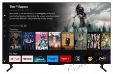 PANASONIC TB-55Z60AEG Televíziók - OLED televízió - UHD 4K felbontású - 512147