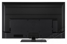 PANASONIC TV-50W80AEZ Televíziók - OLED televízió - UHD 4K felbontású - 512136