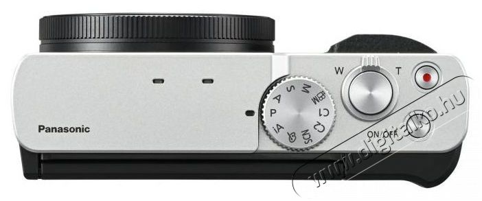 PANASONIC Lumix TZ99, ez&uuml;st F&eacute;nyk&eacute;pezőg&eacute;p / kamera - Kompakt f&eacute;nyk&eacute;pezőg&eacute;p - Norm&aacute;l tud&aacute;s&uacute; kompakt - 520093