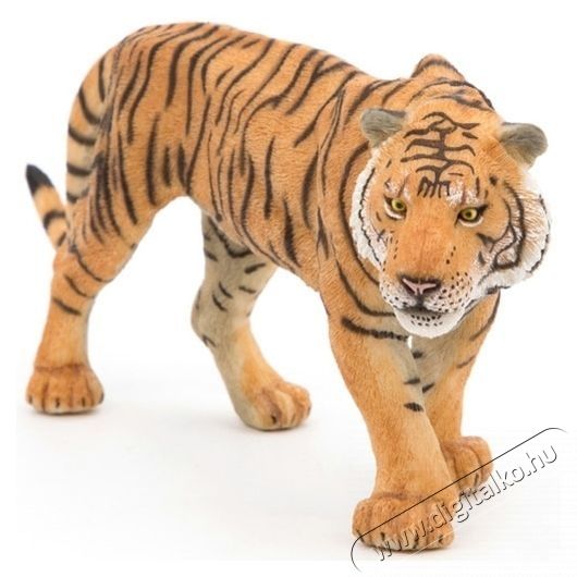 Papo Figurine - Vad&aacute;llatok, Tigris H&aacute;ztart&aacute;s / Otthon / K&uuml;lt&eacute;r - J&aacute;t&eacute;k / Sport - J&aacute;t&eacute;kfigura - 533667